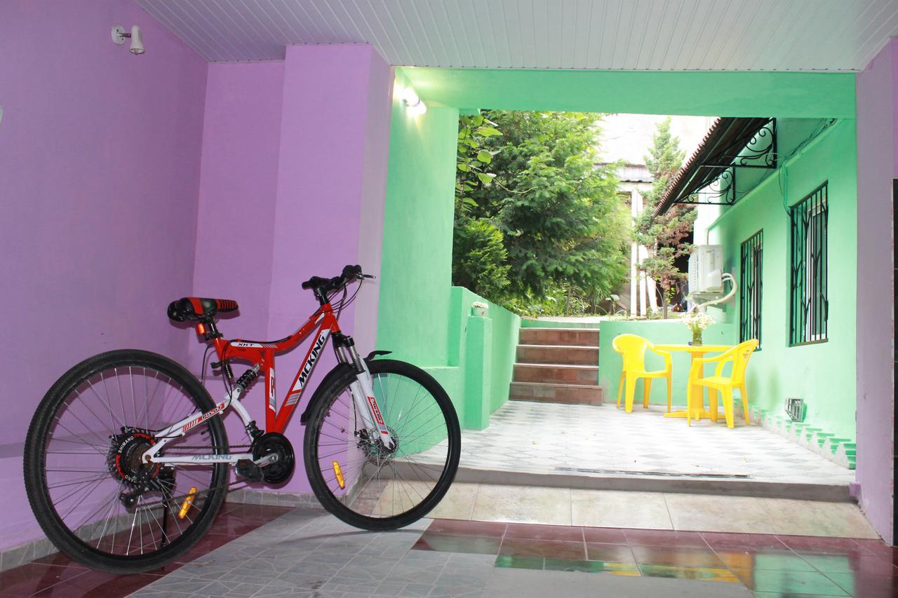 Salomes Apartment Tuti Borjomi Ngoại thất bức ảnh