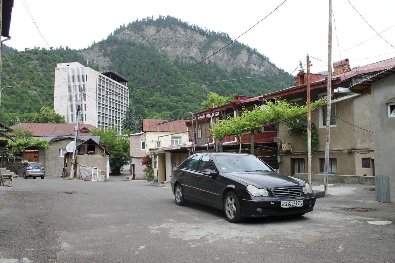 Salomes Apartment Tuti Borjomi Ngoại thất bức ảnh